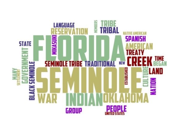 Seminole Typography Tumbler: A Hand-Drawn Word Cloud for Authentic, Versatile Design