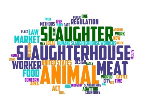 Slaughterman Typography Book Cover: A Vibrant Wordcloud Resource for Creative Professionals
