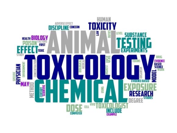 Toxicology Typography Tumbler: A Creative Tool for Design Enthusiasts